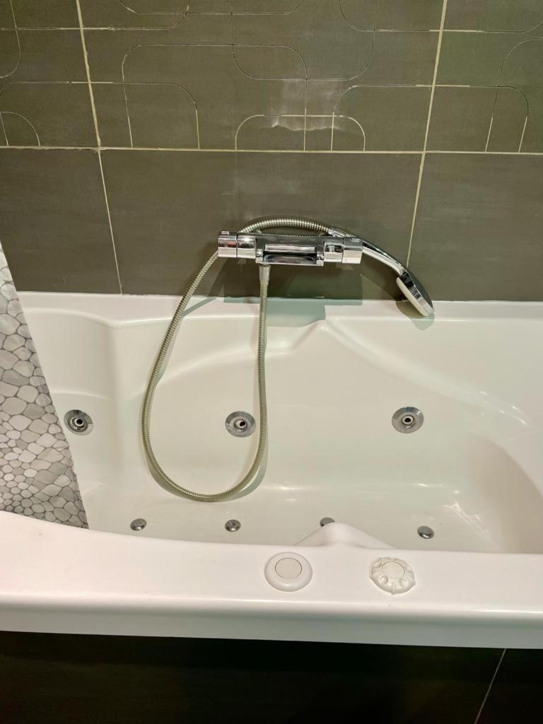 Le Cocon Art Deco Lejlighed Caluire-et-Cuire Eksteriør billede